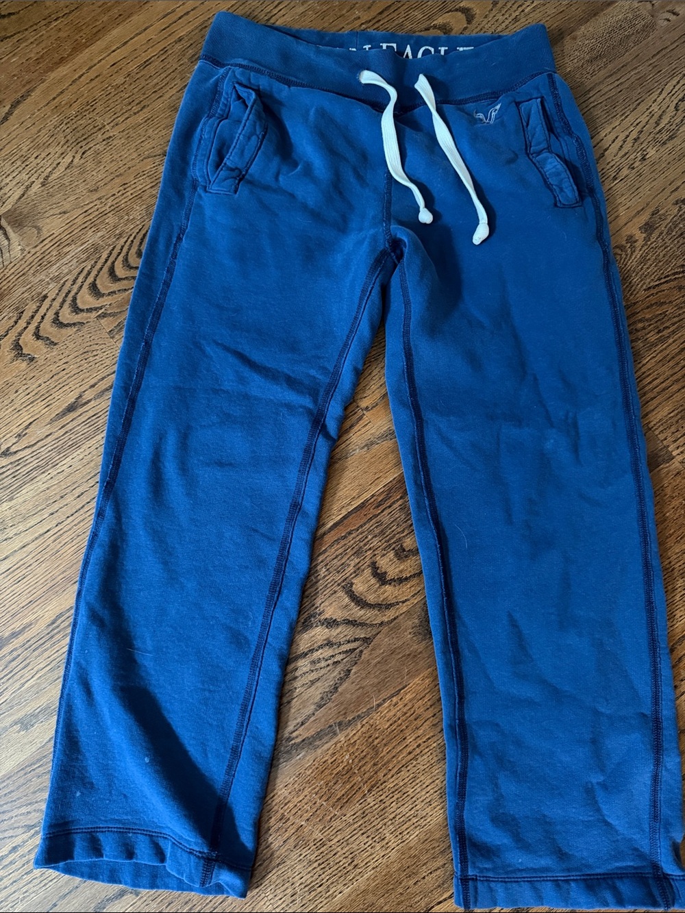 Men’s American eagle outfitters Blue Jogger Pants with Drawstring sz small